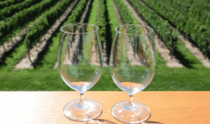Halifax to Wolfville Wine Tours – Taste Nova Scotia’s Best Wineries