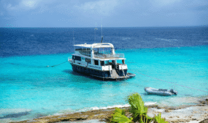 Halifax Airport Transfer Guide – 5 Tips for a Smooth Arrival